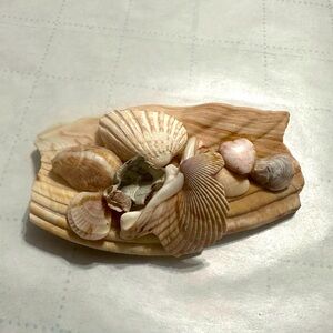 Sea Shell Brooch